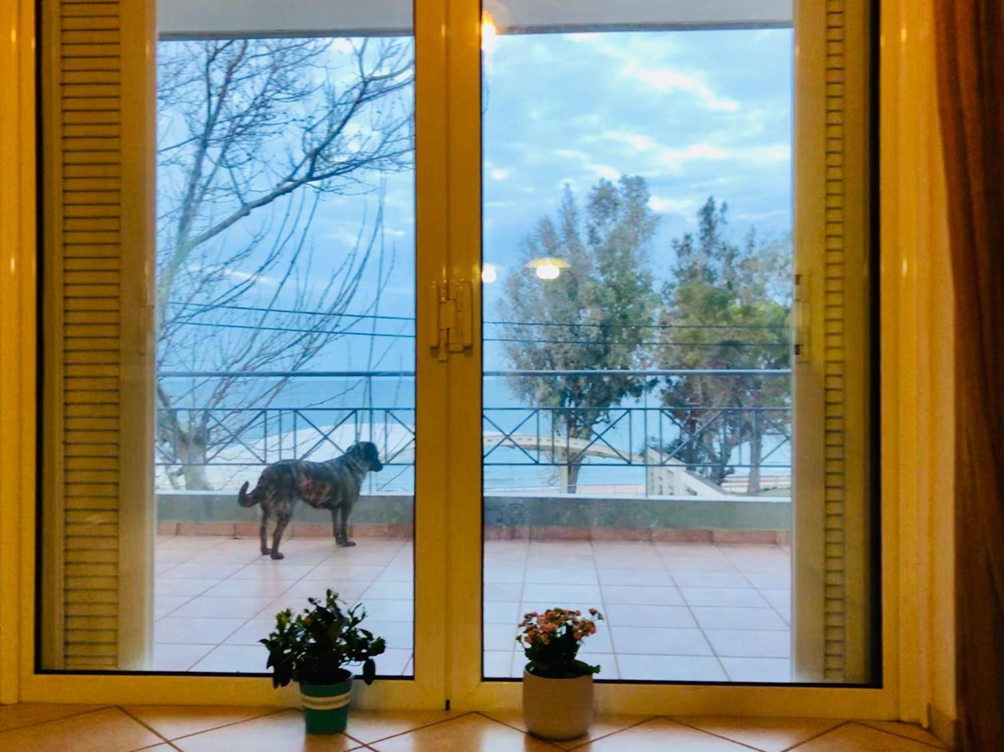 Chloe'S Sunrise Beach House Villa Atenas Exterior foto